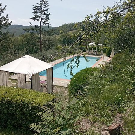 Casa Degli Ulivi - Cottage With Swimming Pool Castellina in Chianti Dış mekan fotoğraf