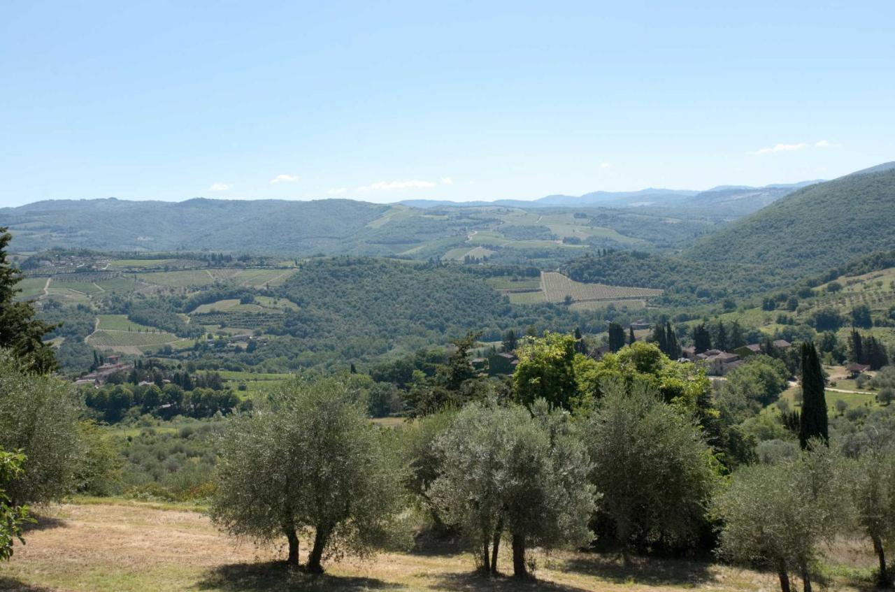 Casa Degli Ulivi - Cottage With Swimming Pool Castellina in Chianti Dış mekan fotoğraf