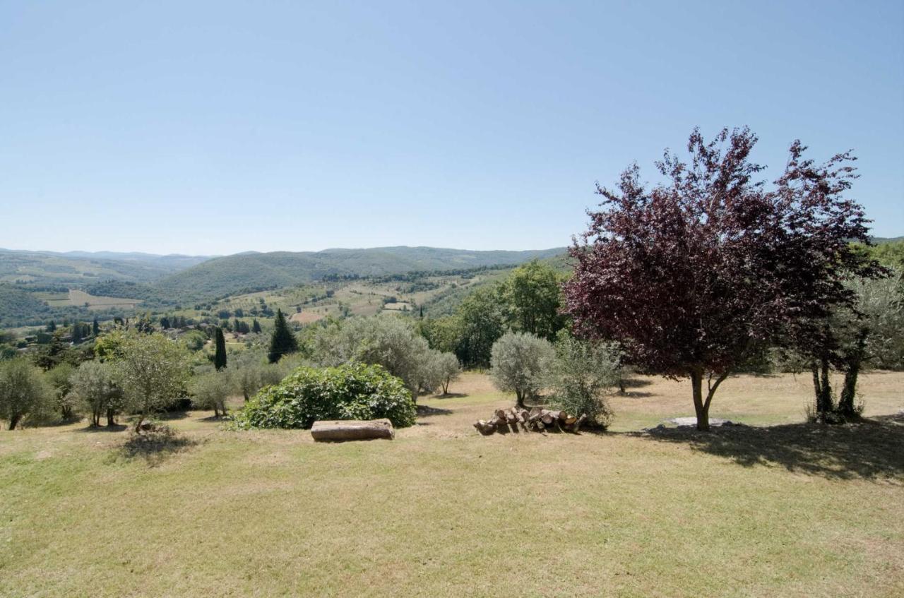 Casa Degli Ulivi - Cottage With Swimming Pool Castellina in Chianti Dış mekan fotoğraf