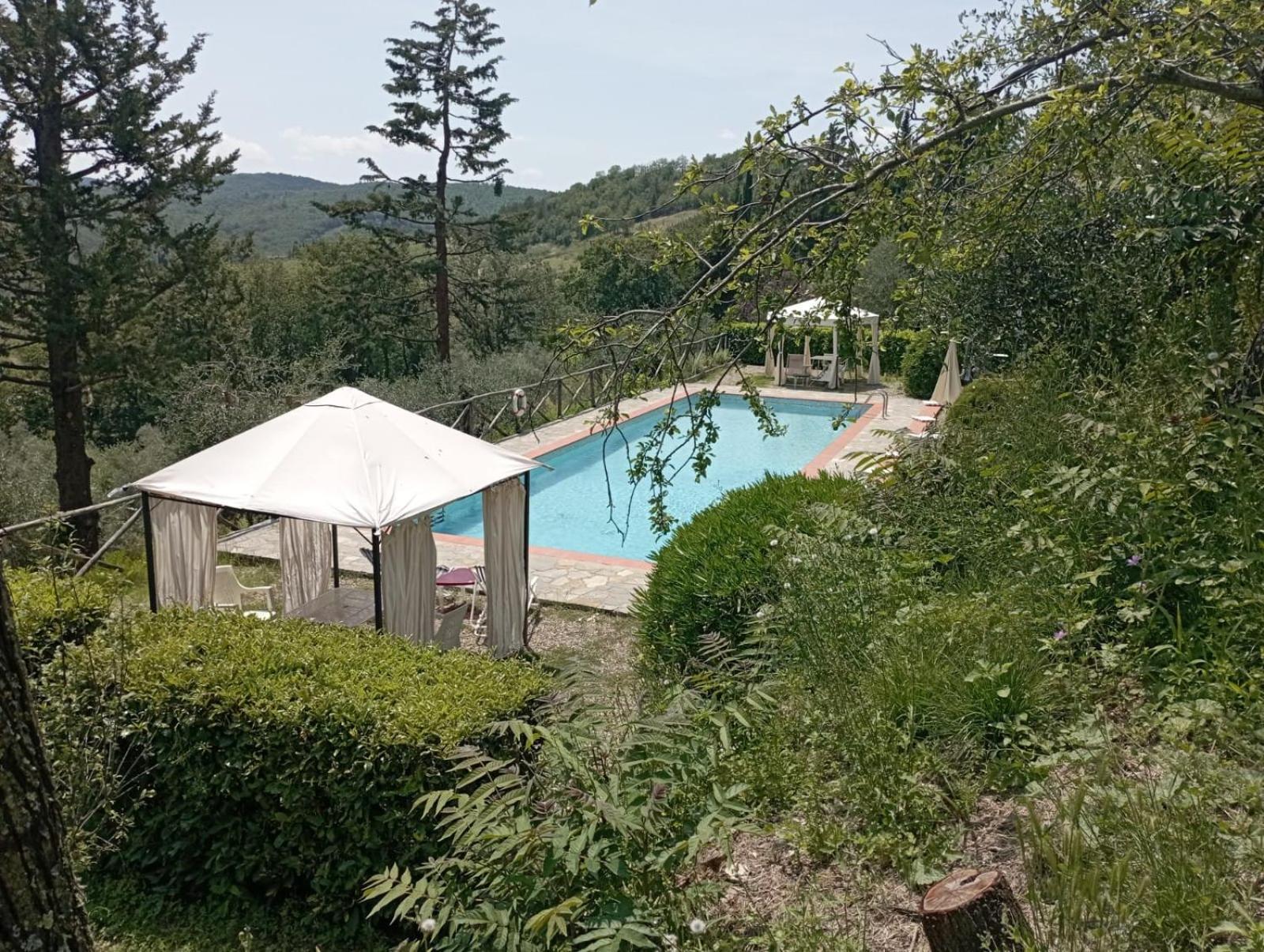 Casa Degli Ulivi - Cottage With Swimming Pool Castellina in Chianti Dış mekan fotoğraf