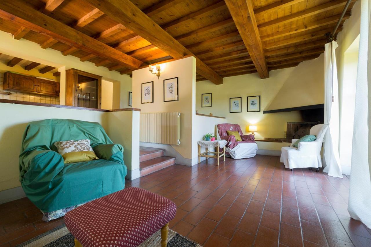 Casa Degli Ulivi - Cottage With Swimming Pool Castellina in Chianti Dış mekan fotoğraf